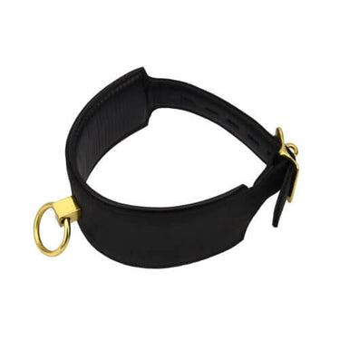 a black leather dog collar with gold hardware
